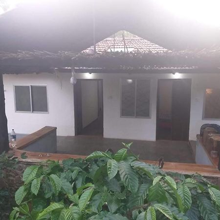 Durf Green Madikeri Luaran gambar