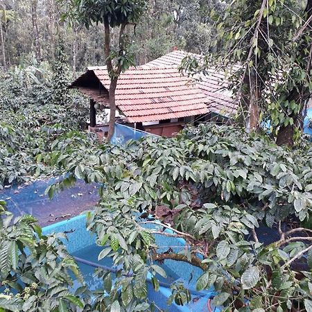 Durf Green Madikeri Luaran gambar